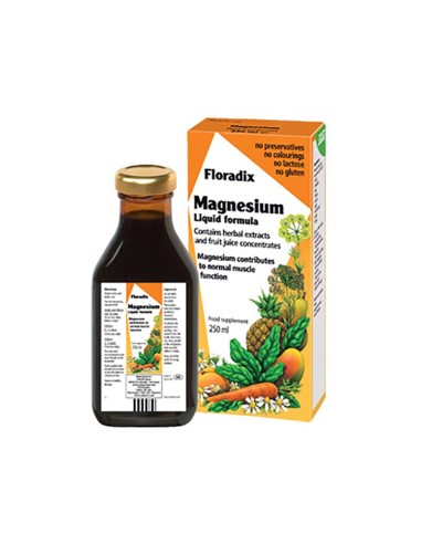 Power Floradix Health Magnesium, 250ml - 4004148017711